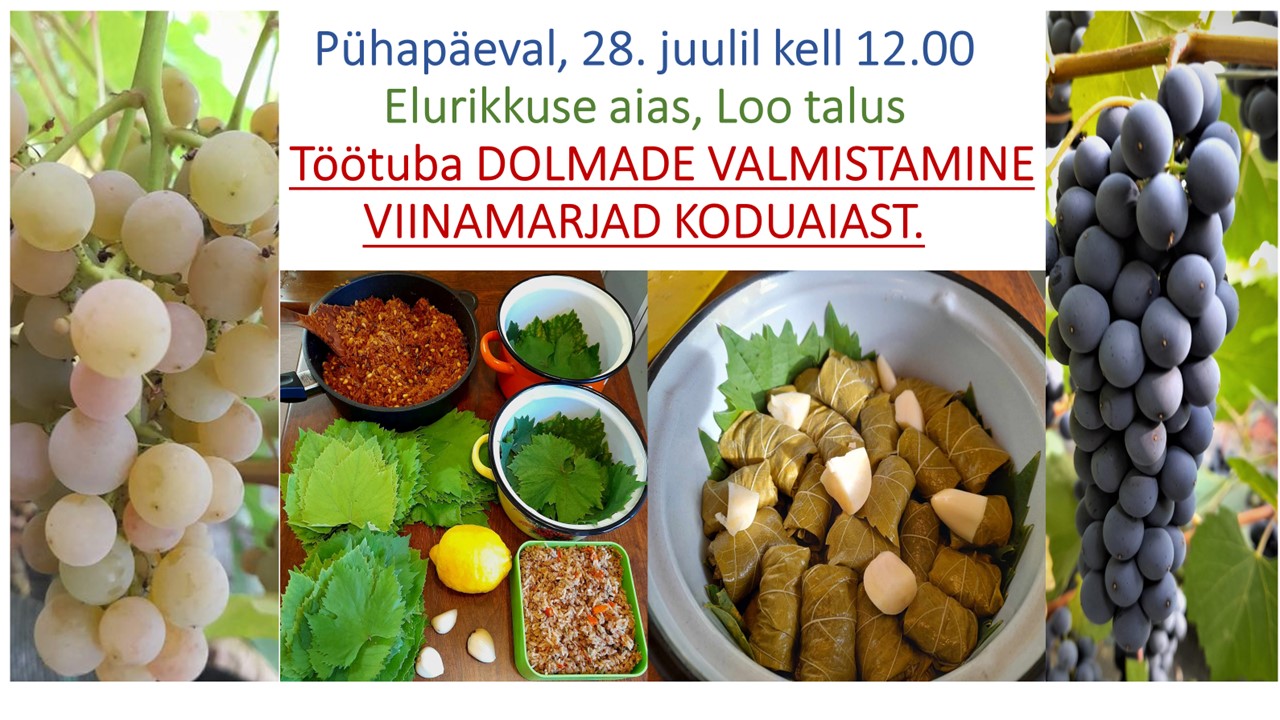 Töötuba VIINAMARJAD KODUAIAST. DOLMADE VALMISTAMINE